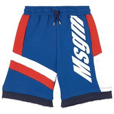 Shop Msgm Blue Logo Sweat Shorts