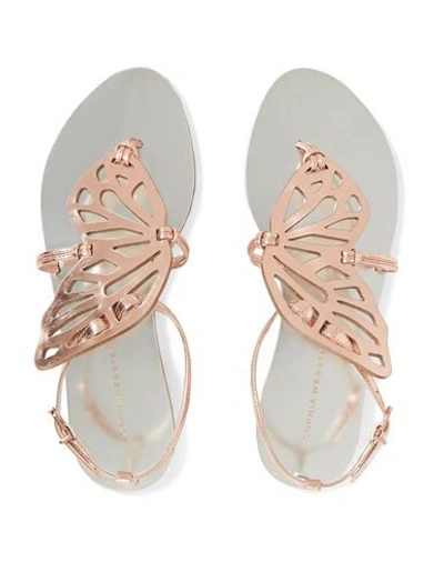 Shop Sophia Webster Toe Strap Sandals In Copper