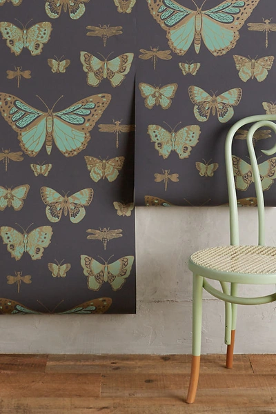Shop Anthropologie Cole & Son Lepidoptera Wallpaper By Cole & Son In Grey Size Swatch