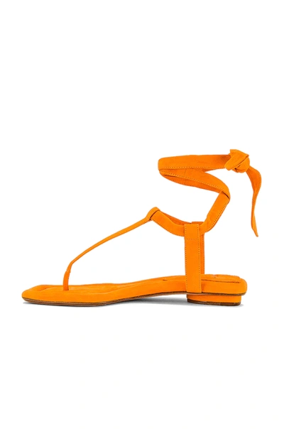 Shop Alexandre Birman Clarita Summer T. Sandal In Mango