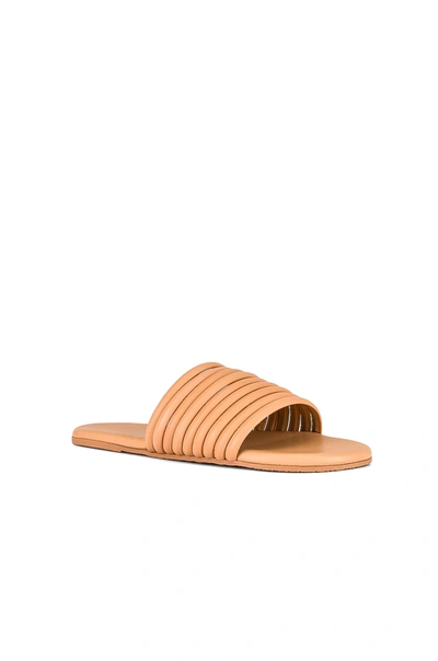 Tkees Caro Sandal In Nude