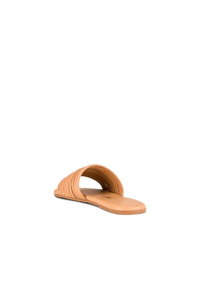 Tkees Caro Sandal In Nude