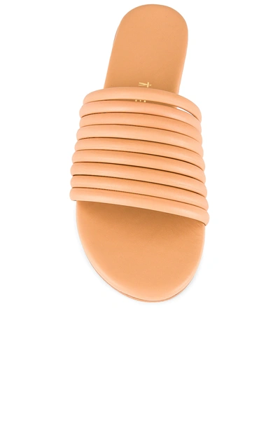 Tkees Caro Sandal In Nude