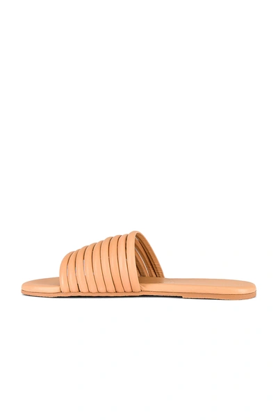 Shop Tkees Caro Sandal In Nude