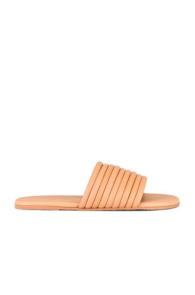 Shop Tkees Caro Sandal In Nude