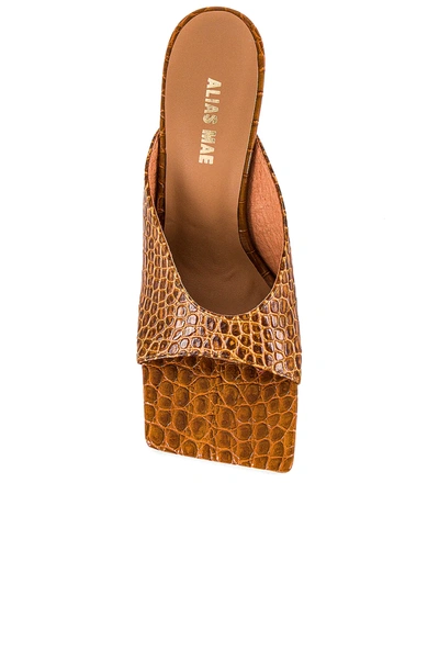 Shop Alias Mae Flynn Mule In Tan Croc