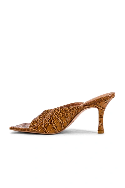 FLYNN MULE – TAN CROC