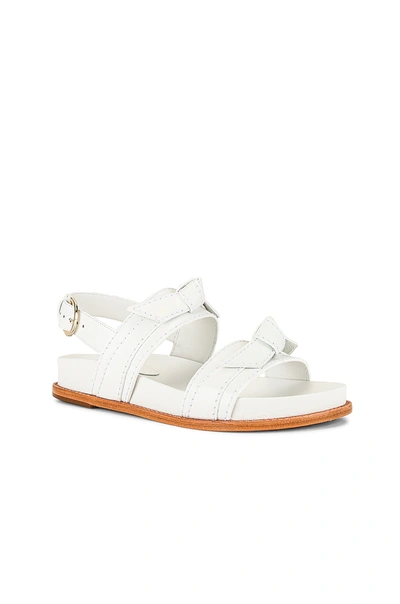 Shop Alexandre Birman Clarita Sport Sandal In White