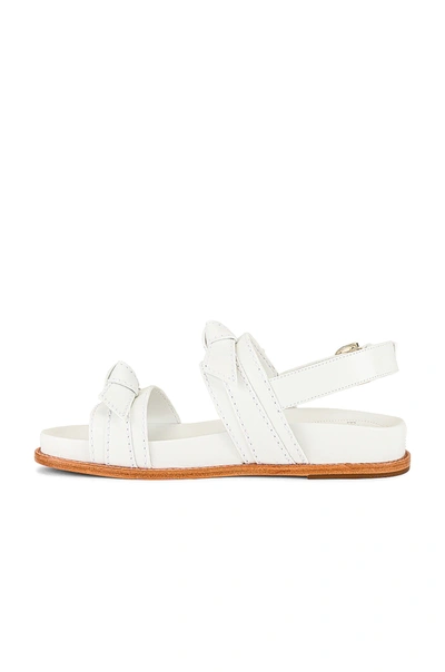 Shop Alexandre Birman Clarita Sport Sandal In White