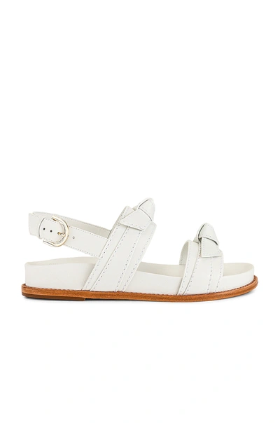 Shop Alexandre Birman Clarita Sport Sandal In White