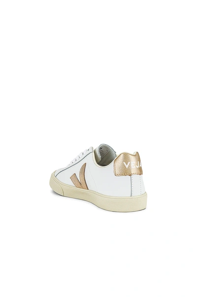 Shop Veja Esplar Logo Sneaker In Extra-white & Platine