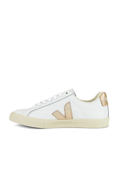 Shop Veja Esplar Logo Sneaker In Extra-white & Platine