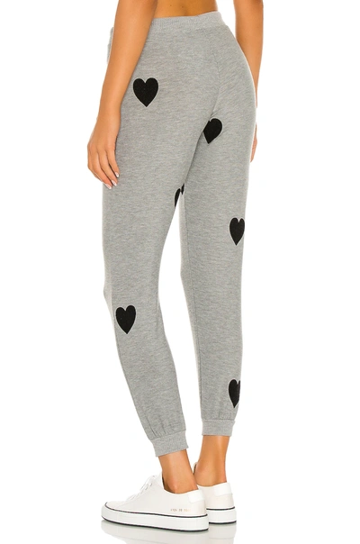 Shop Chaser Cozy Knit Cuffed Drawstring Jogger In Heather Grey