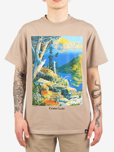 Shop Nike Crater Lake T-shirt In Khaki
