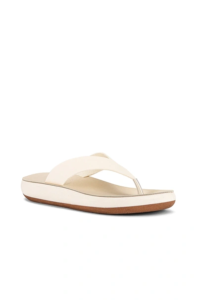Shop Ancient Greek Sandals Charys Sandal In Off White