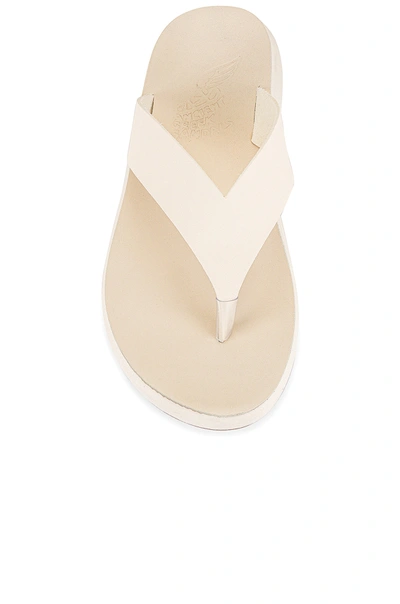 Shop Ancient Greek Sandals Charys Sandal In Off White