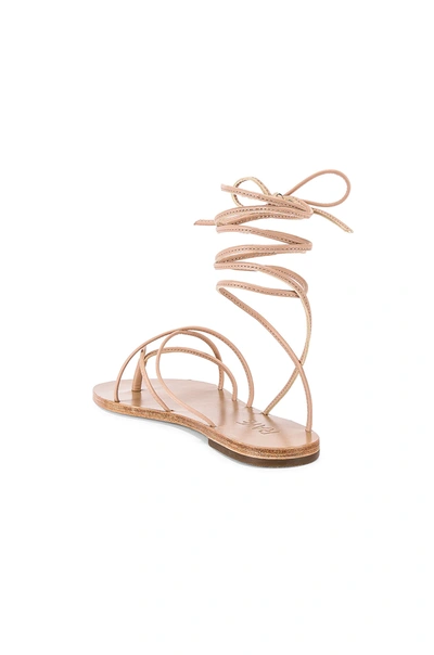 Shop Raye Siam Sandal In Nude