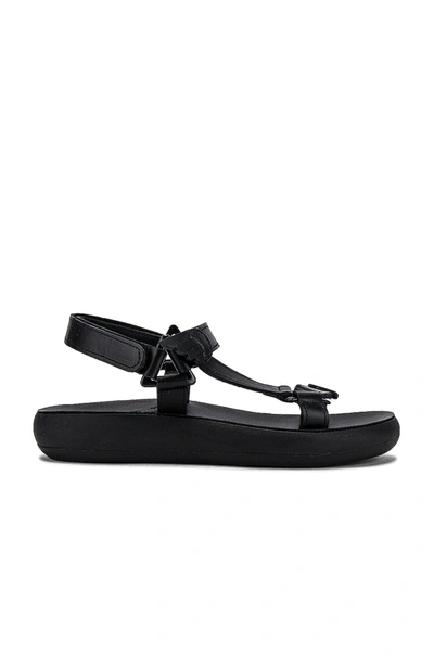 Shop Ancient Greek Sandals Poria Sandal In Black