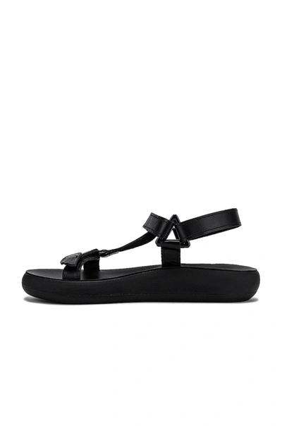 Shop Ancient Greek Sandals Poria Sandal In Black