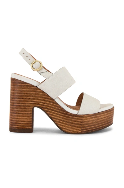 Shop Seychelles Pleased Sandal In White