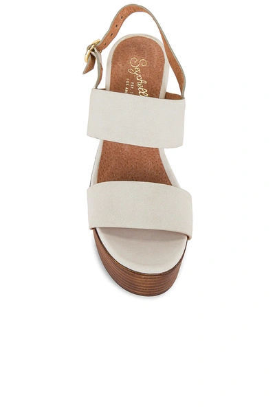 Shop Seychelles Pleased Sandal In White