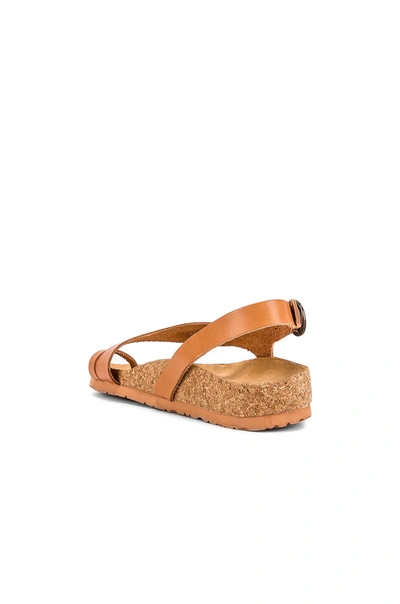 Shop Soludos Maya Sandal In Natural