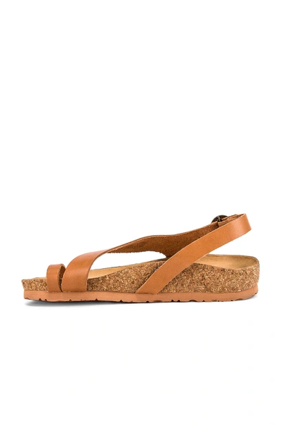 Shop Soludos Maya Sandal In Natural