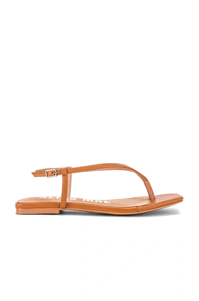 Shop Alias Mae Andie Sandal In Tan Leather