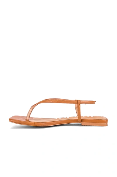 Shop Alias Mae Andie Sandal In Tan Leather