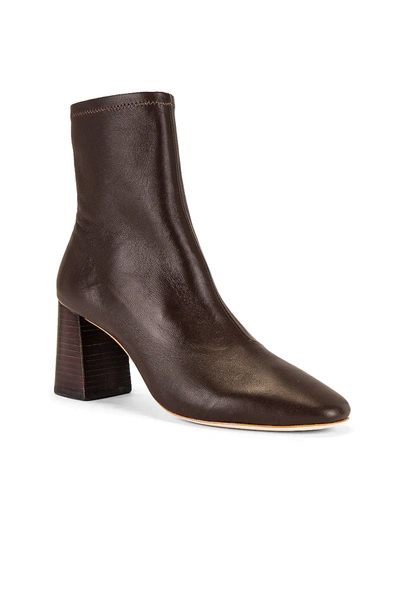 Shop Loeffler Randall Elise Ankle Boot In Chocolate Nappa