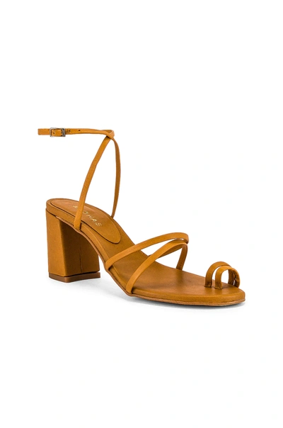 Shop Alohas Mochi Strappy Sandal In Caramel