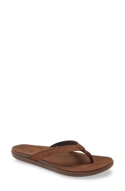 Shop Olukai Aukai Flip Flop In Dk Java / Dk Java Leather