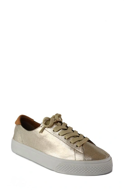 Shop Band Of Gypsies Miranda Low Top Platform Sneaker In Gold Tumbled Leather