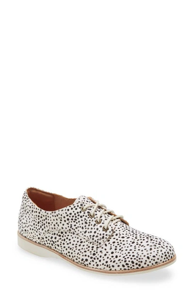 Shop Rollie Derby Genuine Calf Hair Flat In Snow Leopard Calf Hair