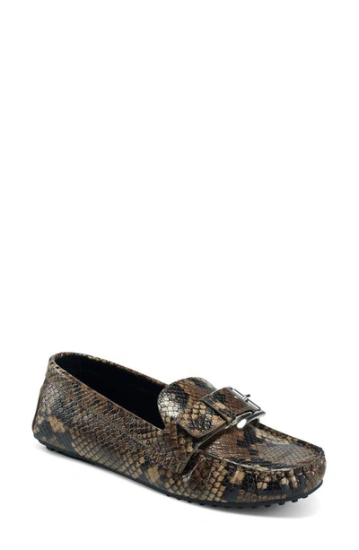 Shop Aerosoles West Buckland Loafer In Brown Snake