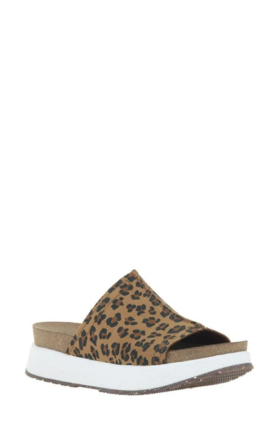 Shop Otbt Wayside Slide Sandal In Leopard Print Suede