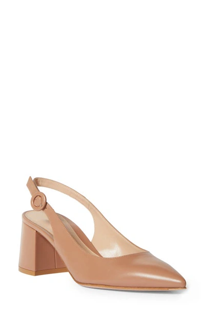 Shop Gianvito Rossi Pointed Toe Slingback Pump In Praline