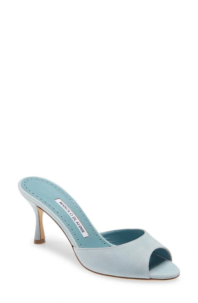 Shop Manolo Blahnik Jada Mule In Blue