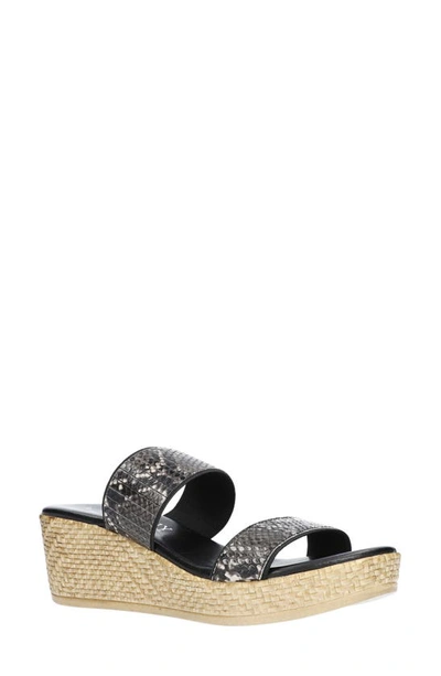 Shop Tuscany By Easy Streetr Tuscany By Easy Street® Terina Wedge Slide Sandal In Black Snake Gore