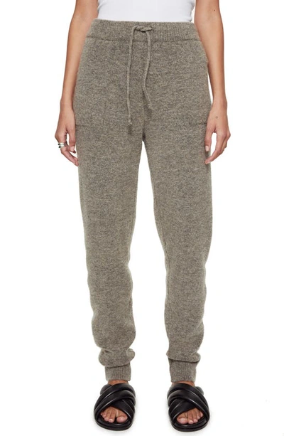 Shop Anine Bing Saylor Joggers In Brown