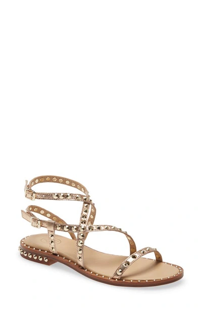 Shop Ash Petra Studded Sandal In Gold