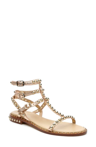 Shop Ash Play Studded Sandal In Gold