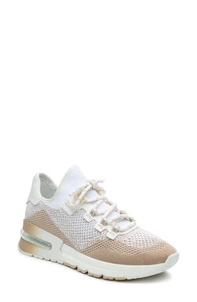 Shop Ash Krush Knit Sneaker In Eggnog/ White