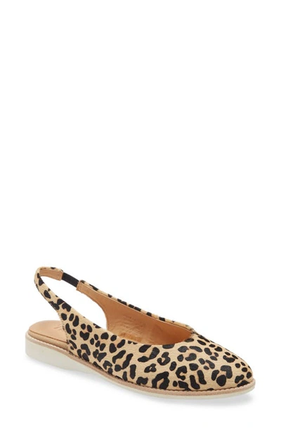 Shop Rollie Madison Slingback Flat In Camel Leopard Print Calf Hair