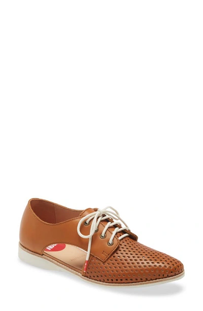 Shop Rollie Sidecut Punch Perforated Derby In Cognac Burnish Leather