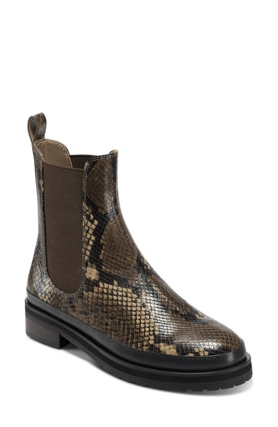 Shop Aerosoles Camila Chelsea Boot In Brown Snake