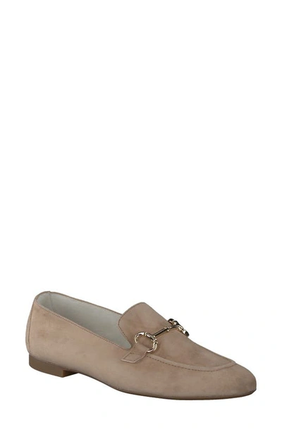Shop Paul Green Daphne Flat In Champagne Suede