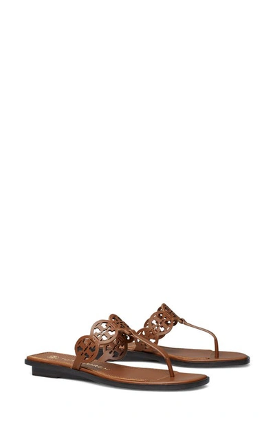Shop Tory Burch Tiny Miller Thong Sandal In Burnt Cuoio