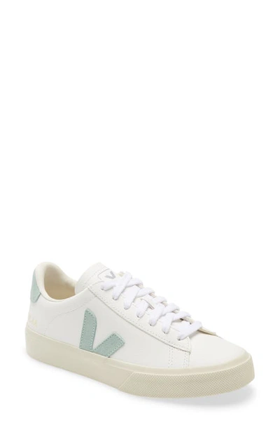 Shop Veja Campo Sneaker In Extra-white/ Matcha