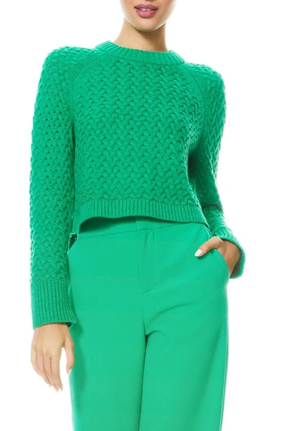 Shop Alice And Olivia Leta Chunky Knit Crop Cotton & Wool Blend Sweater In Mint Kelly